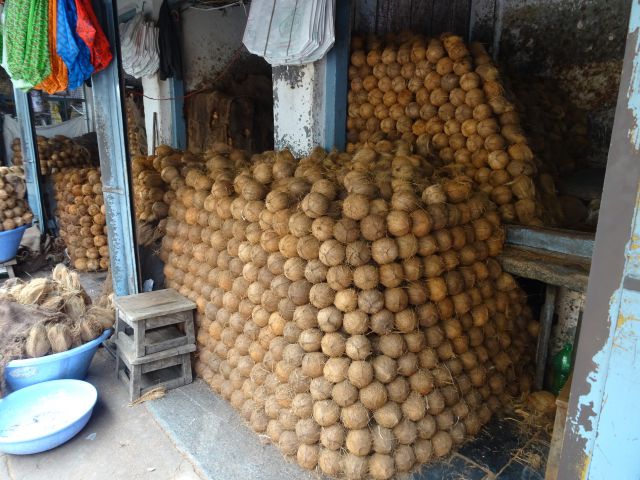 Mysore